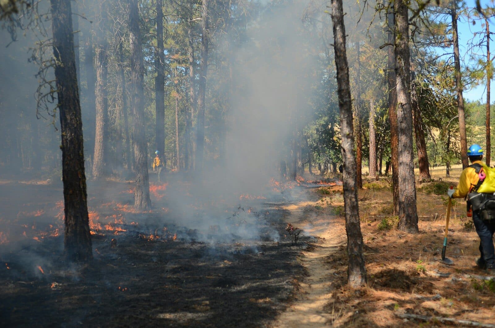 Forest fire with smoke and firefighters present